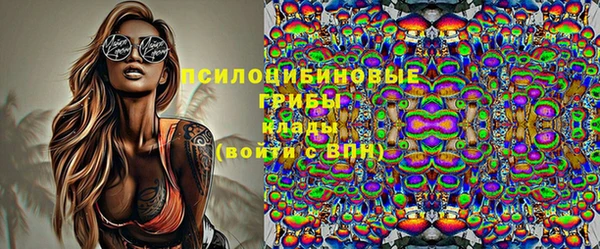 2c-b Алзамай
